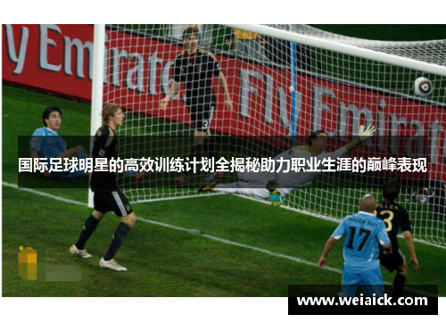 国际足球明星的高效训练计划全揭秘助力职业生涯的巅峰表现